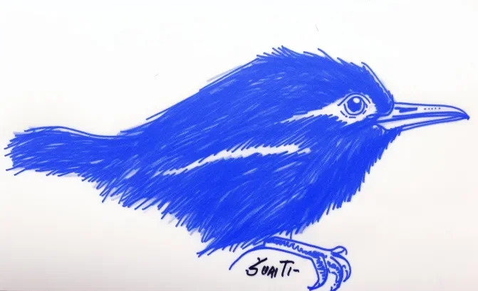 Blue pen sketch of a bird